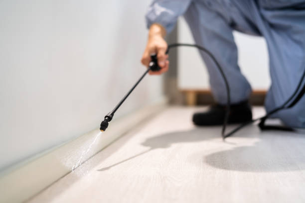 Licensed Rodent Control service in Farmersville, OH - Nex Pest Control
