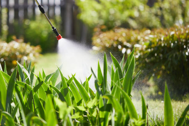 24/7 Emergency Rodent Control experts in Farmersville, OH