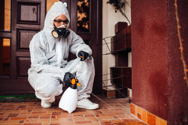 Reliable Rodent Control contractor in Farmersville, OH by Nex Pest Control