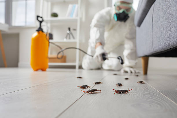 Trusted Cockroach Control service in Farmersville, OH - Nex Pest Control