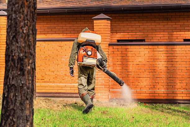 Trusted Termite Control service in Farmersville, OH - Nex Pest Control